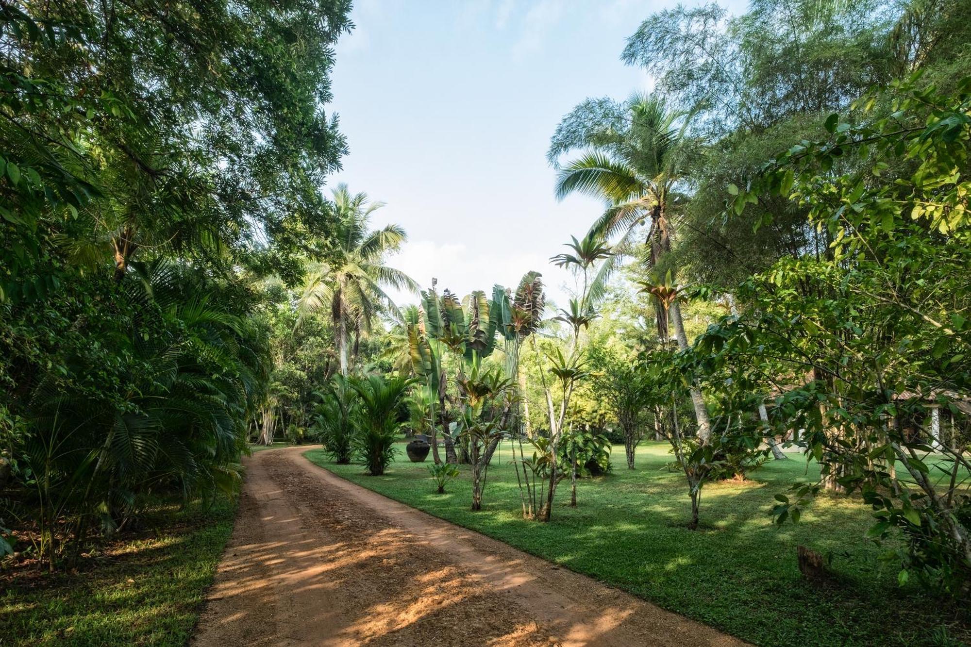 Nisala Arana Boutique Hotel Bentota Exterior photo