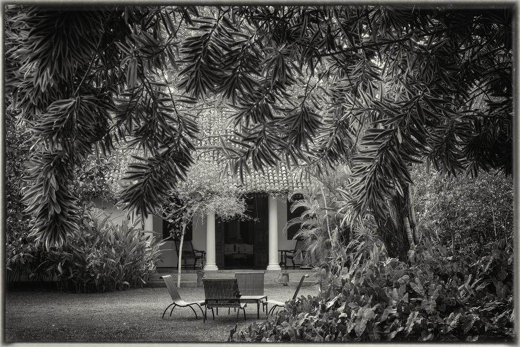 Nisala Arana Boutique Hotel Bentota Exterior photo