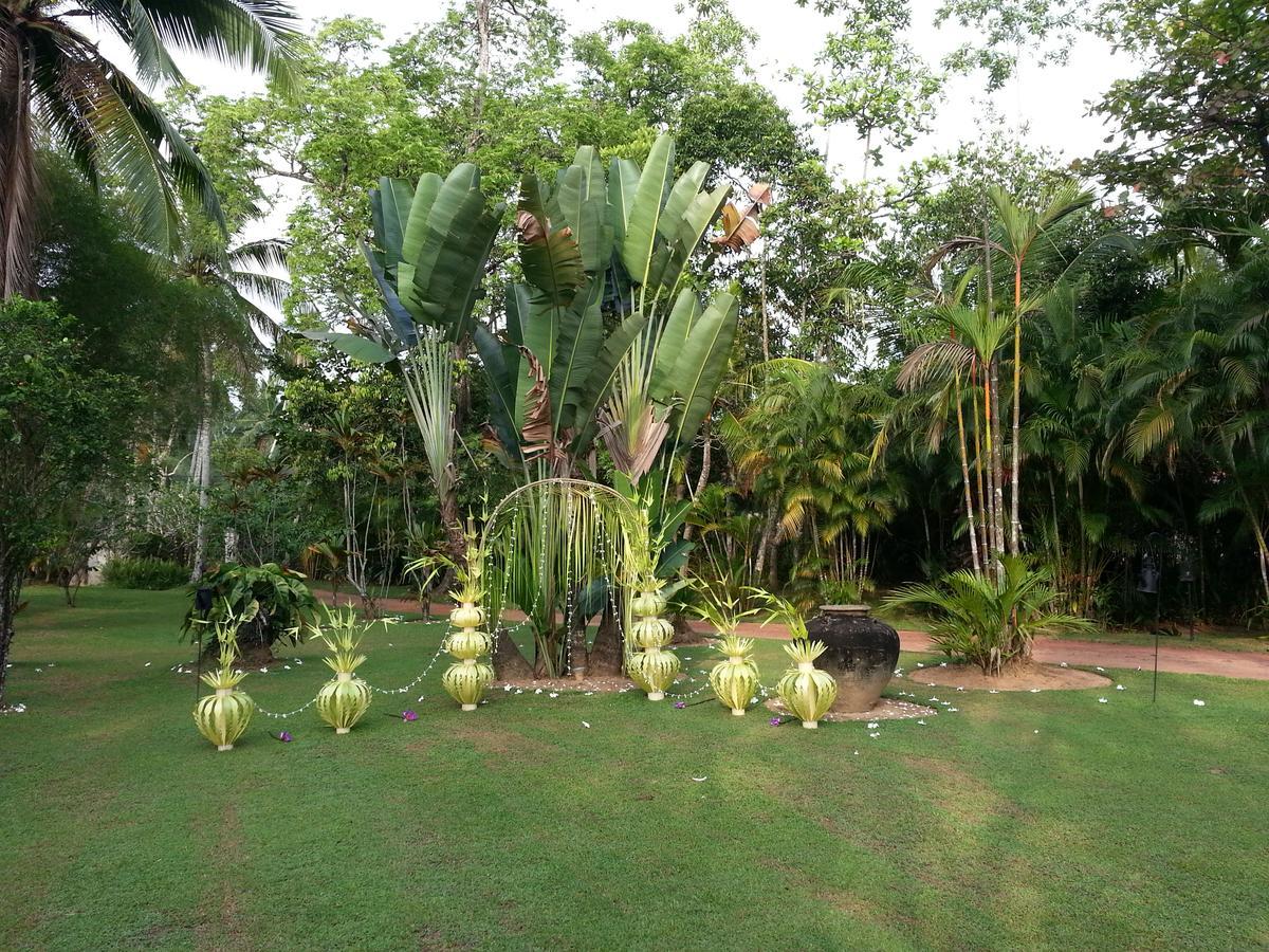 Nisala Arana Boutique Hotel Bentota Exterior photo
